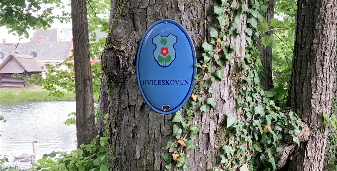 The resting forest is a beautiful area, located close to the path up to the wide moats. Here, a circle of linden trees is formed, where we have established rest benches so that you can sit down and remember in beautiful surroundings.